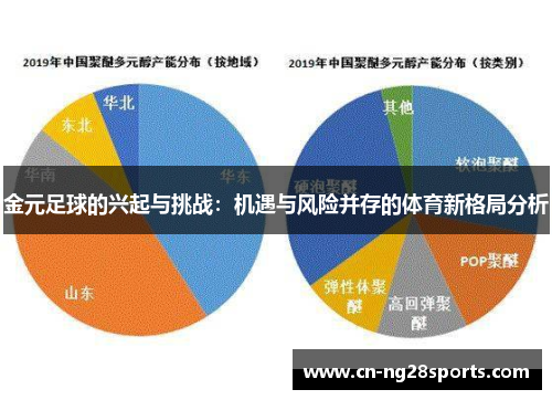金元足球的兴起与挑战：机遇与风险并存的体育新格局分析