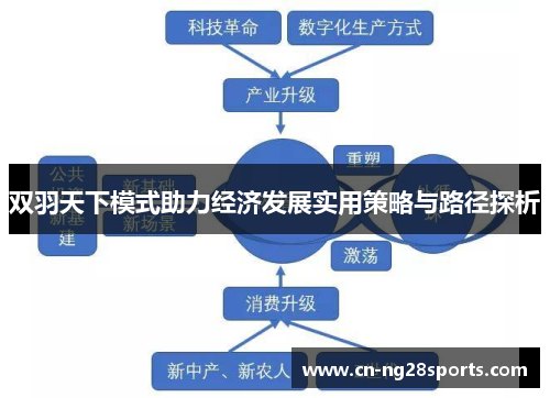 双羽天下模式助力经济发展实用策略与路径探析