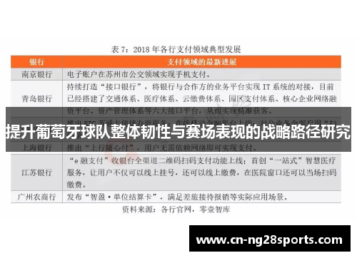 提升葡萄牙球队整体韧性与赛场表现的战略路径研究