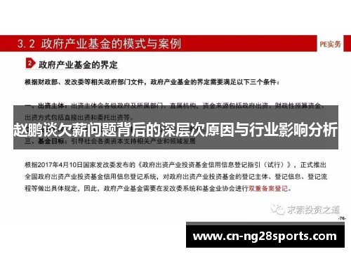 赵鹏谈欠薪问题背后的深层次原因与行业影响分析