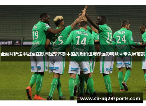 全面解析法甲冠军在欧洲足球体系中的战略价值与深远影响及未来发展前景