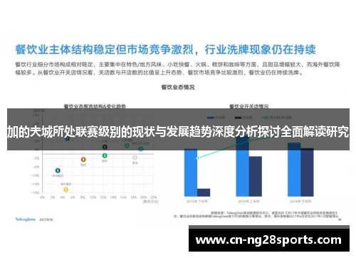 加的夫城所处联赛级别的现状与发展趋势深度分析探讨全面解读研究