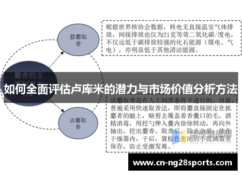如何全面评估卢库米的潜力与市场价值分析方法