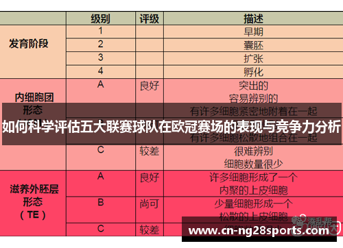 如何科学评估五大联赛球队在欧冠赛场的表现与竞争力分析
