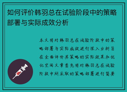 如何评价韩羽总在试验阶段中的策略部署与实际成效分析