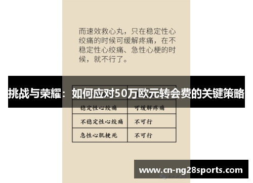 挑战与荣耀：如何应对50万欧元转会费的关键策略